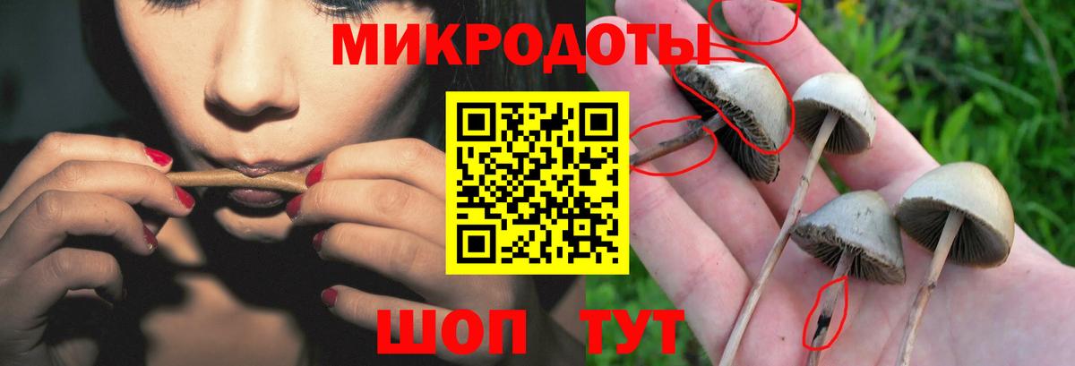 Балашиха  Псилоцибиновые грибы мицелий  Вход с VPN  Псилоцибиновые грибы Psilocybine cubensis 